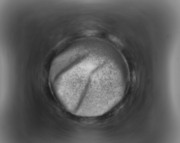 X0000086291158200704201917