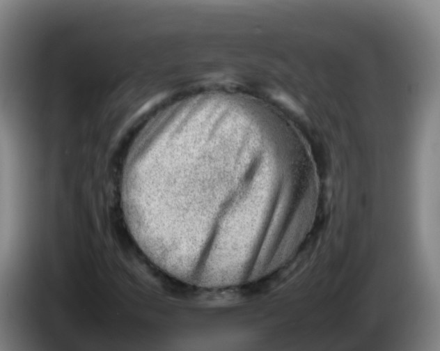 X0000086291159200704201917