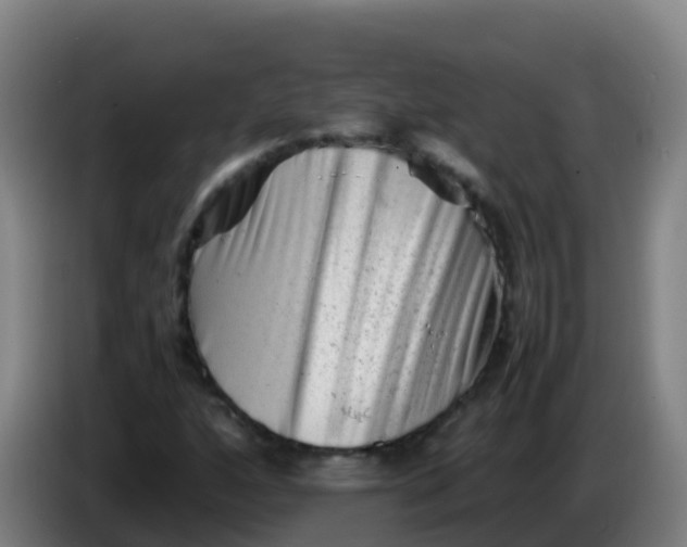 X0000086291160200704201917