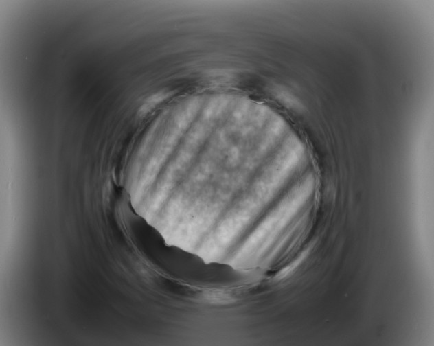 X0000086291161200704201917