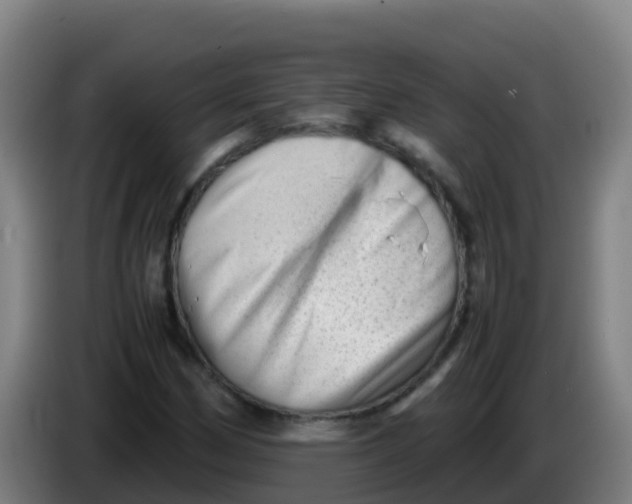 X0000086291162200704201917