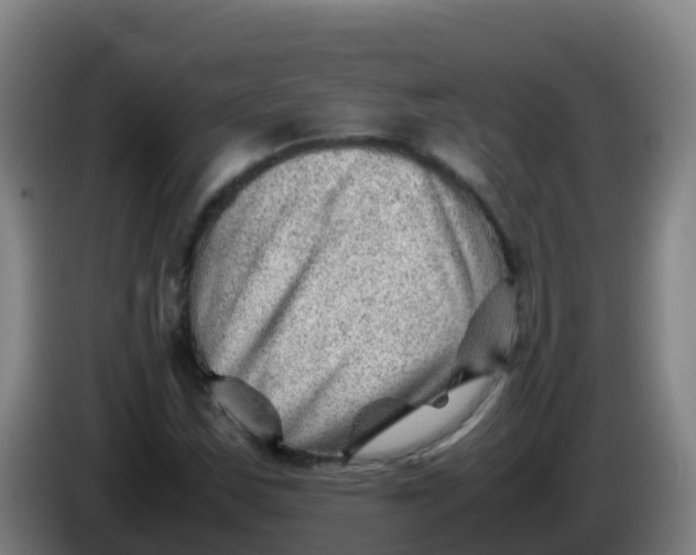 X0000086291163200704201917
