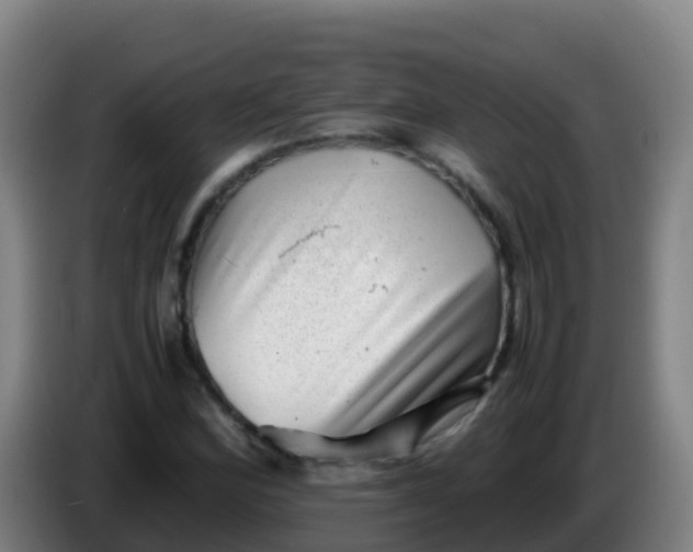 X0000086291164200704201917