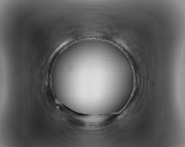 X0000086291165200704201917
