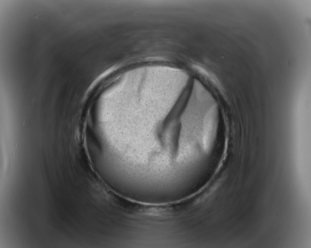 X0000086291166200704201917