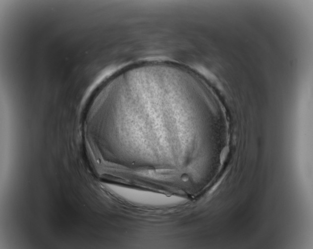 X0000086291167200704201917