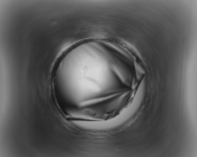 X0000086291168200704201917