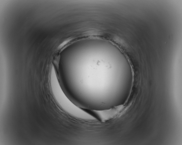 X0000086291169200704201917