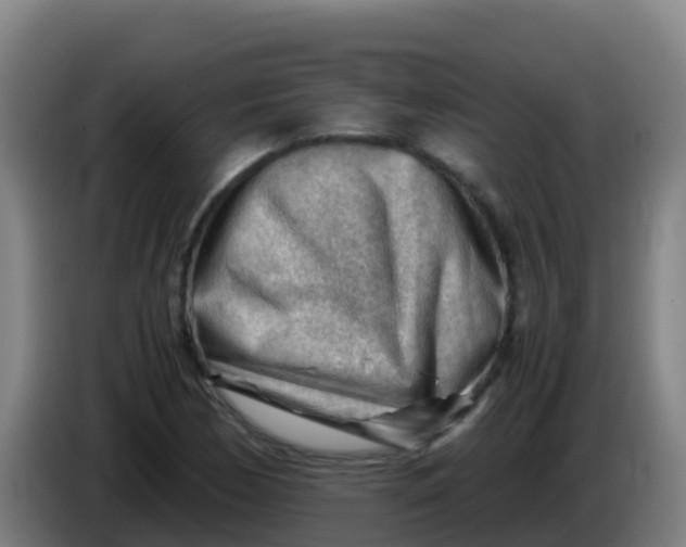 X0000086291170200704201917