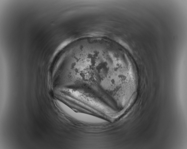 X0000086291171200704201917