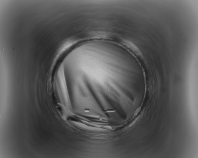 X0000086291172200704201917