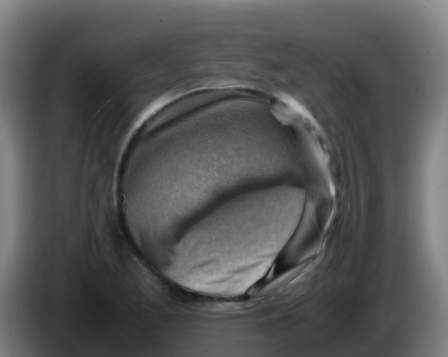 X0000086291173200704201917