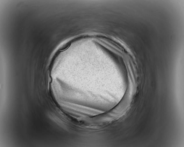 X0000086291175200704201917