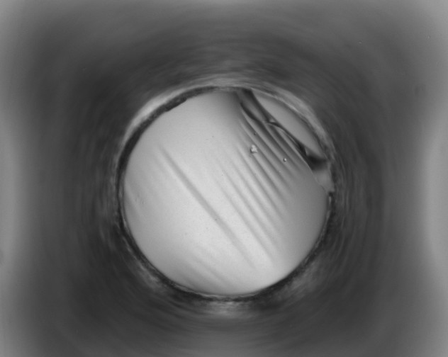 X0000086291176200704201917