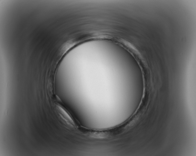 X0000086291177200704201917