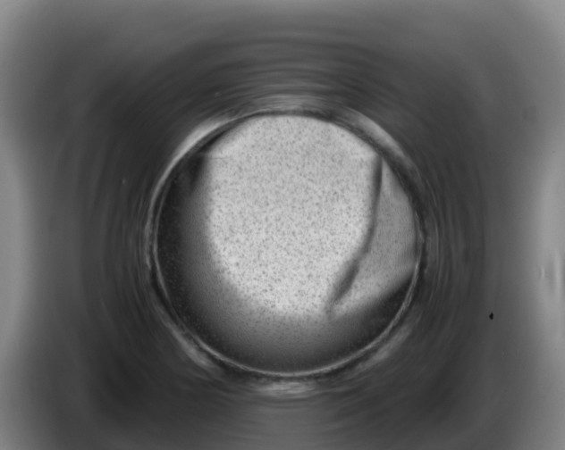 X0000086291178200704201917