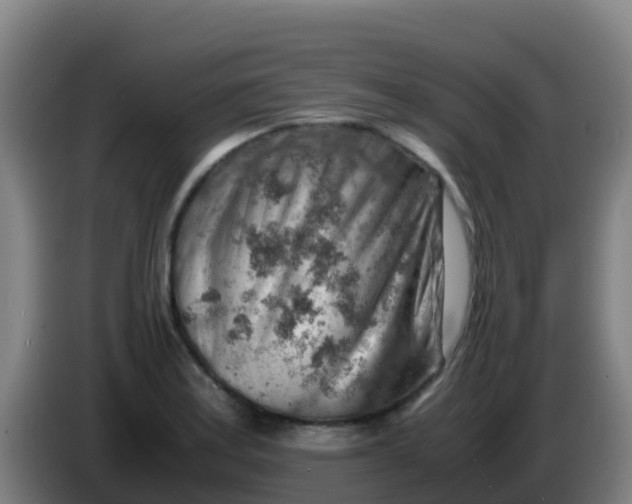 X0000086291179200704201917