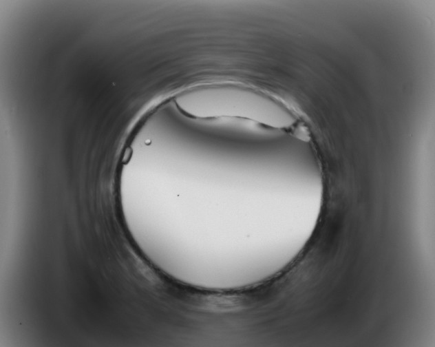X0000086291181200704201917