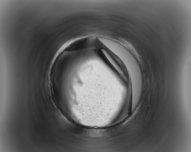 X0000086291184200704201917