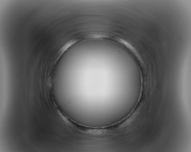 X0000086291185200704201917