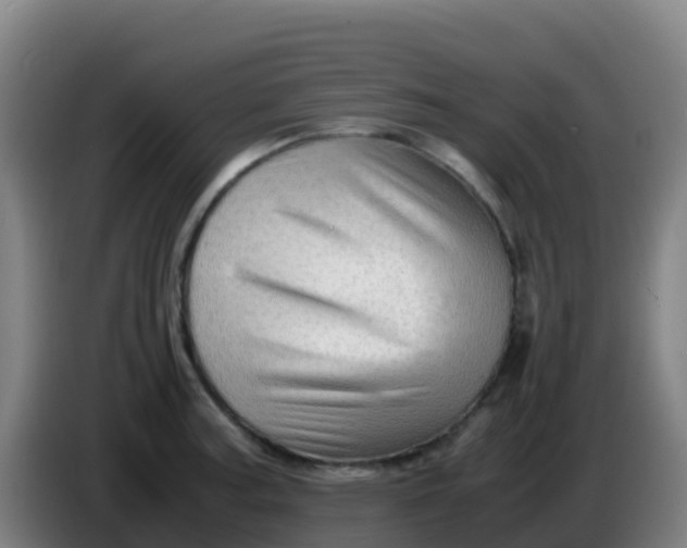 X0000086291187200704201917
