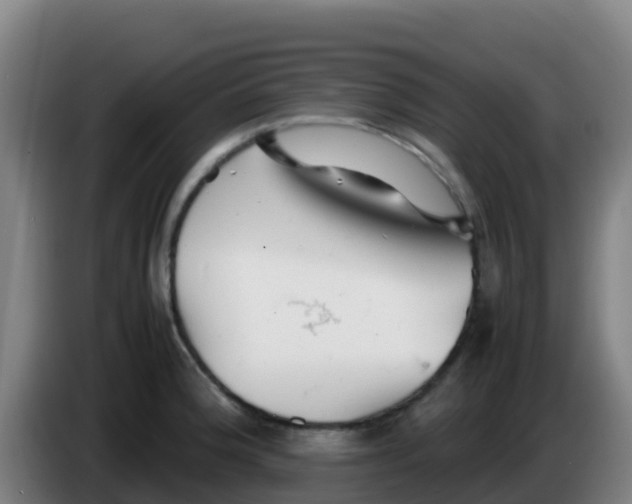 X0000086291188200704201917