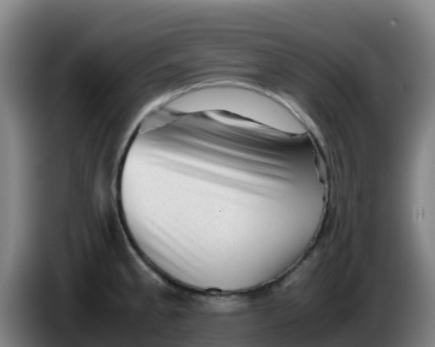 X0000086291189200704201917