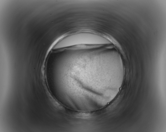 X0000086291190200704201917