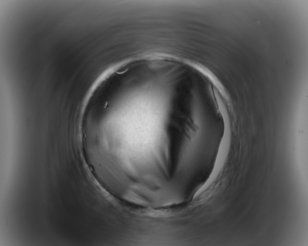 X0000086291191200704201917