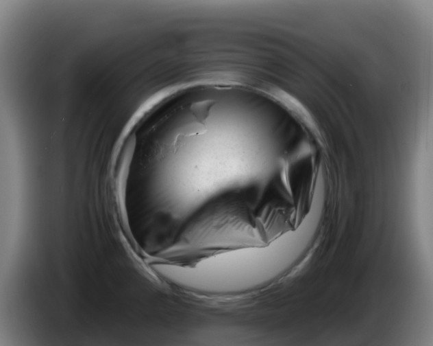 X0000086291192200704201917