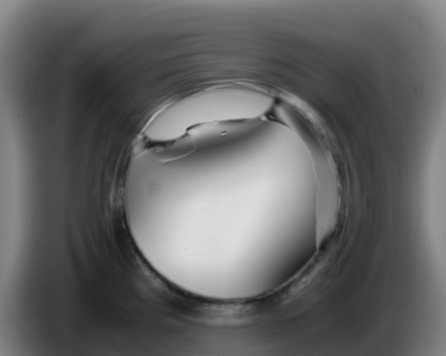 X0000086291193200704201917