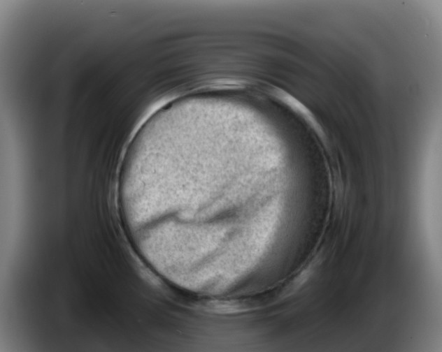 X0000086291194200704201917