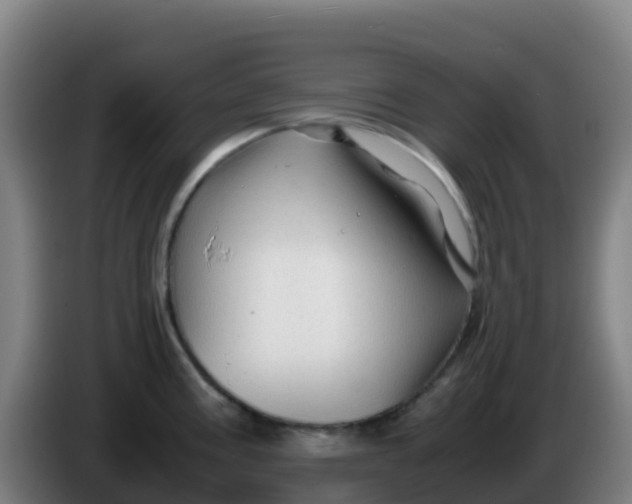 X0000086291195200704201917