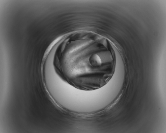 X0000086291196200704201917