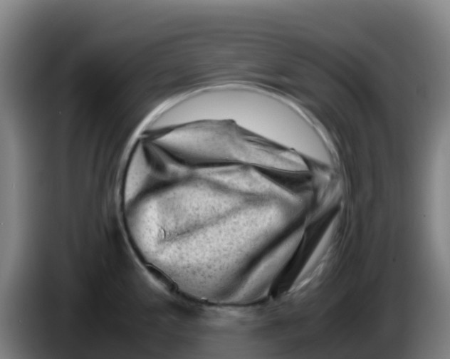X0000086291197200704201917