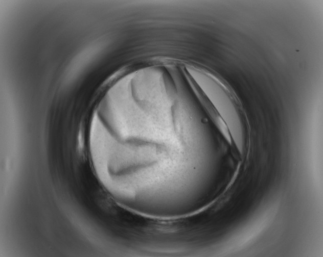 X0000086291198200704201917