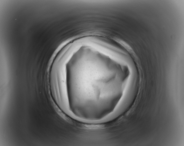 X0000086291200200704201917