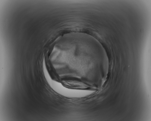 X0000086291202200704201916