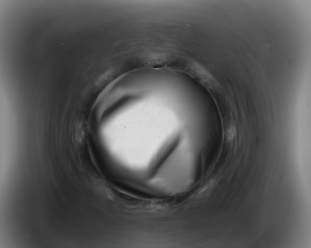 X0000086291204200704201916