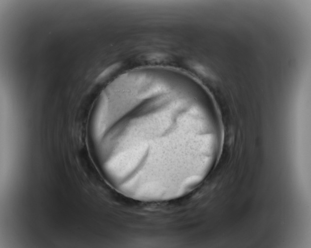 X0000086291205200704201916