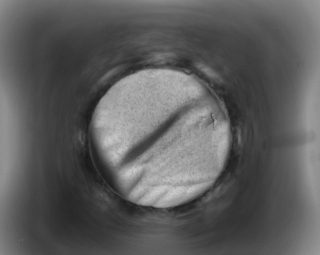 X0000086291206200704201916