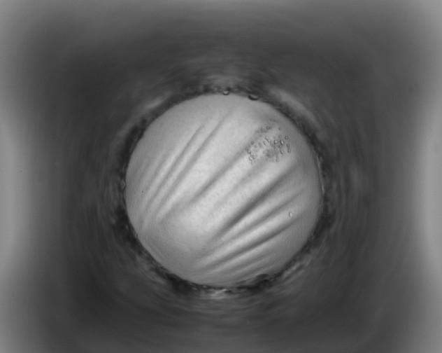 X0000086291207200704201916