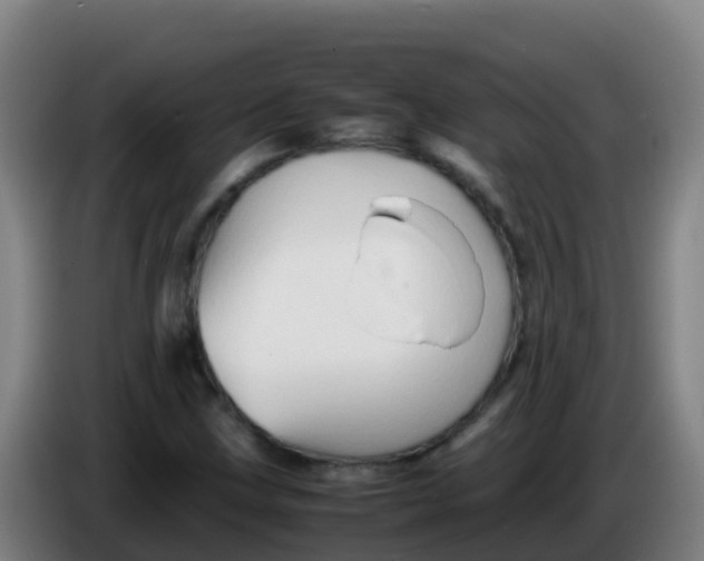 X0000086291211200704201916