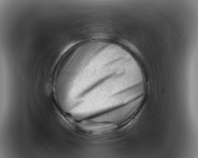 X0000086291212200704201916