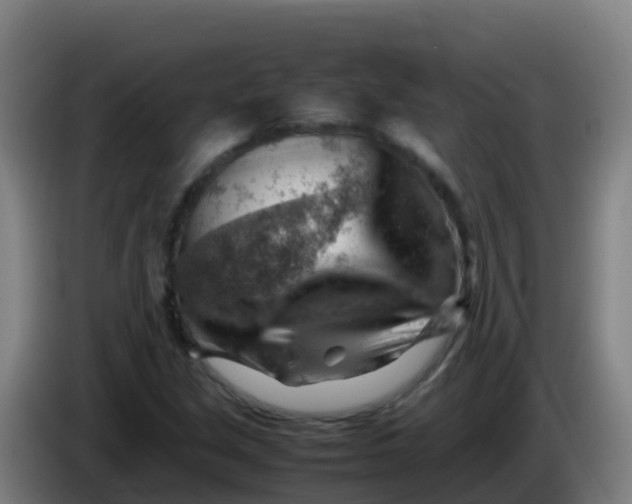 X0000086291213200704201916