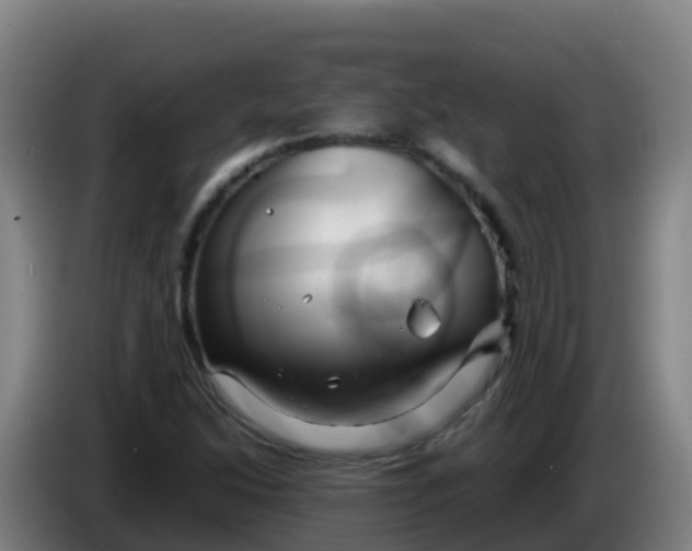 X0000086291214200704201916