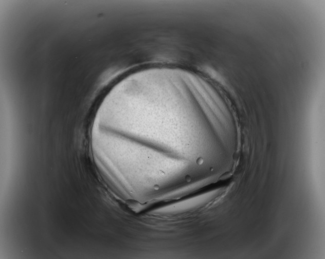 X0000086291215200704201916
