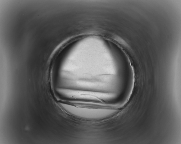 X0000086291216200704201916