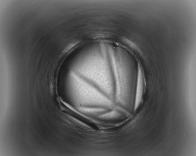 X0000086291217200704201916