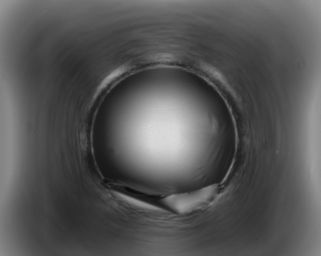 X0000086291218200704201916
